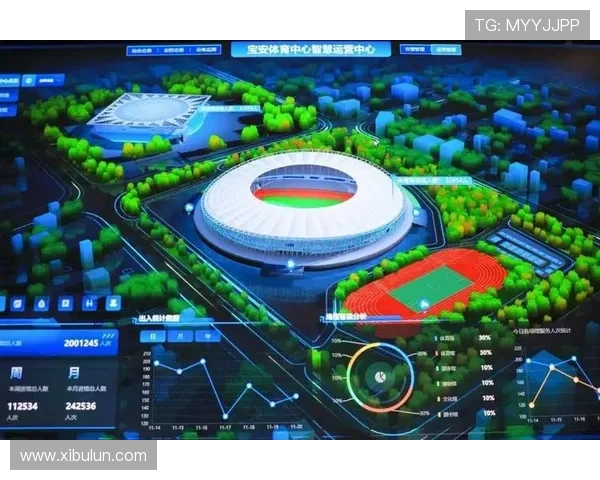 体育场馆内VR观赛区的硬件适配性标准化